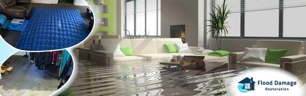 Emergency Water Extraction - Why Fast Action Saves Your Property