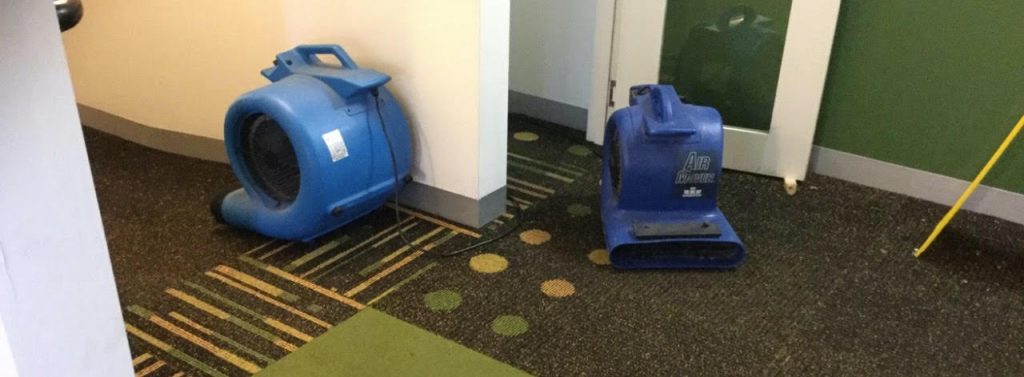 Common Causes of Flood Damage in Melbourne Homes and Businesses
