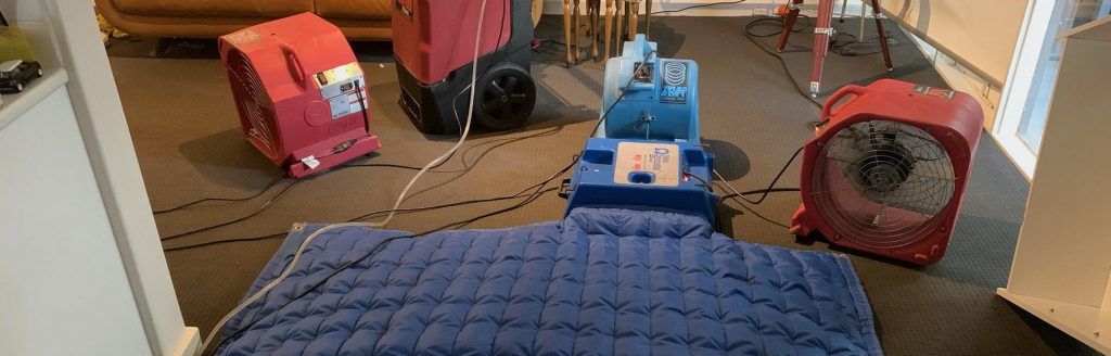 Wet Carpet Drying - Can Your Carpet Be Saved After Flooding?